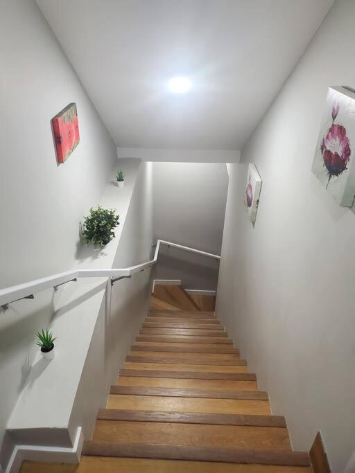 Apartment Brand New 2 Bedrooms Basement 15mins From Airport Calgary